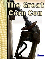 Ethanol packs less punch than gasoline, a gallon uses a gallon of other fuels to produce, drives up the price of food, and costs $1.78 in subsidies and lost taxes .